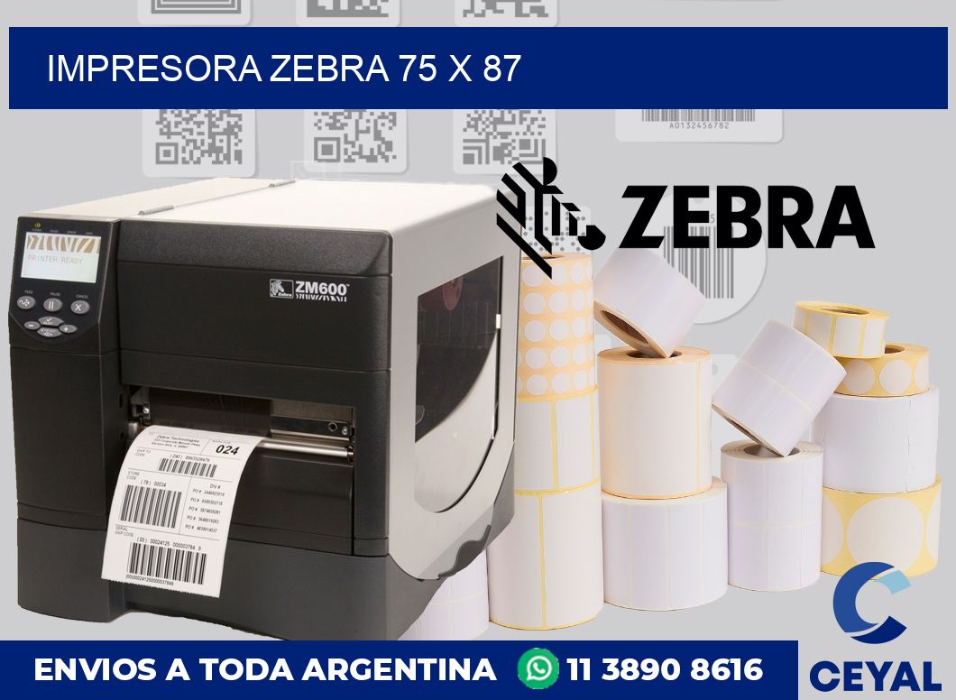 Impresora Zebra 75 x 87