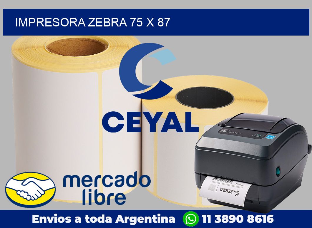 Impresora Zebra 75 x 87