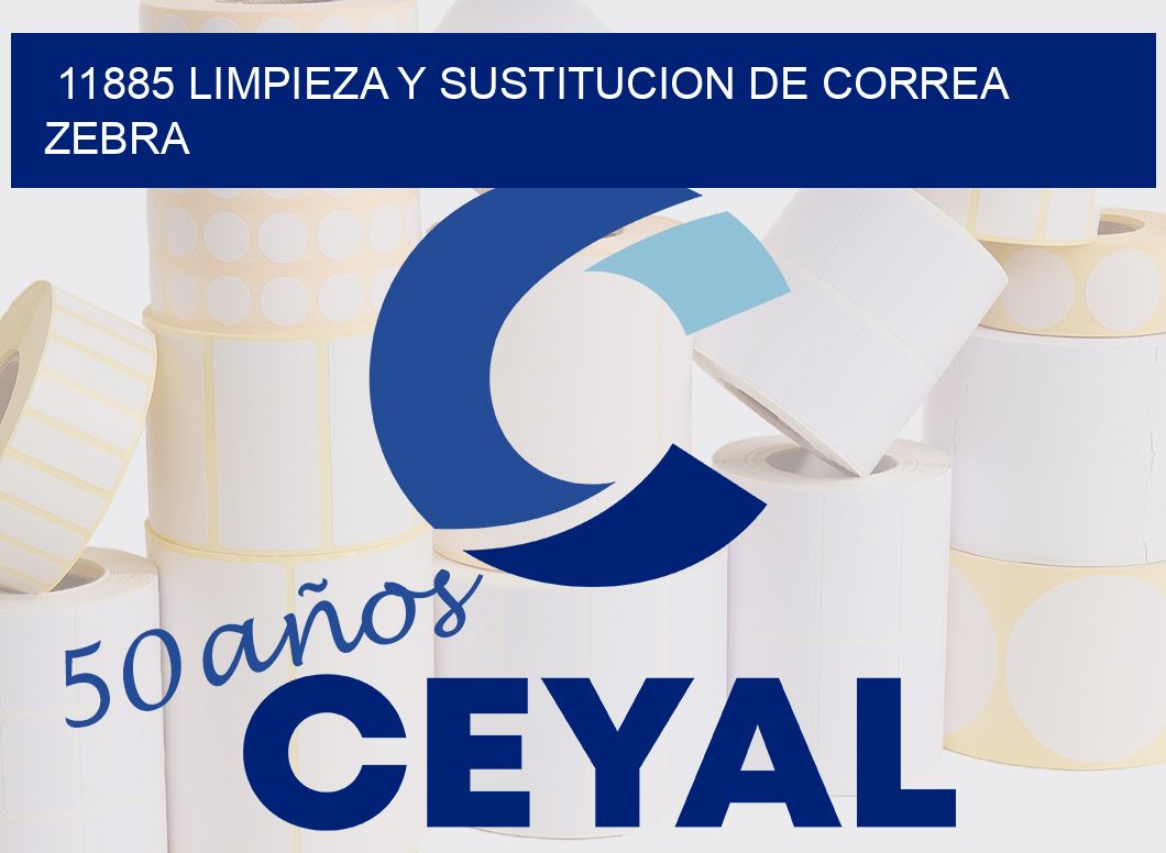 11885 LIMPIEZA Y SUSTITUCION DE CORREA ZEBRA