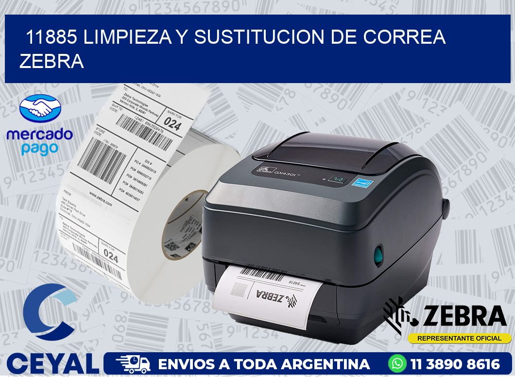 11885 LIMPIEZA Y SUSTITUCION DE CORREA ZEBRA