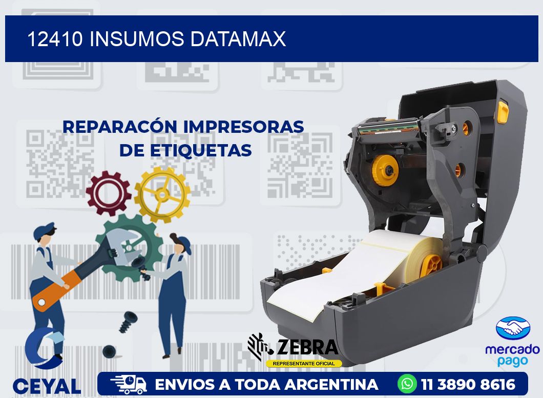 12410 INSUMOS DATAMAX