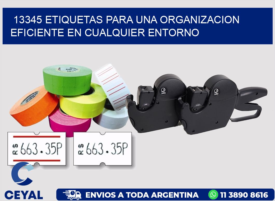 13345 ETIQUETAS PARA UNA ORGANIZACION EFICIENTE EN CUALQUIER ENTORNO