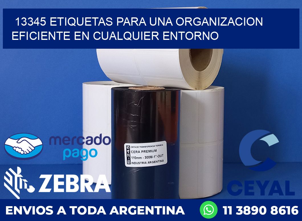 13345 ETIQUETAS PARA UNA ORGANIZACION EFICIENTE EN CUALQUIER ENTORNO