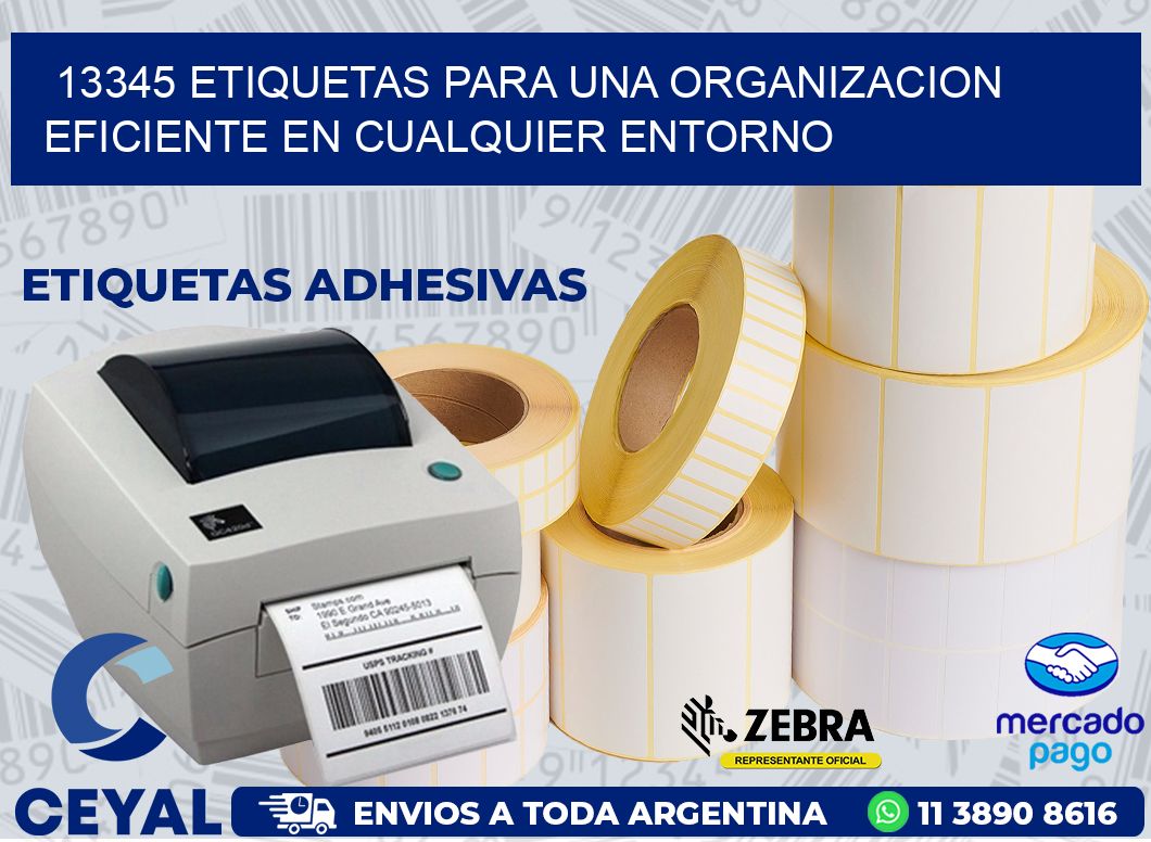 13345 ETIQUETAS PARA UNA ORGANIZACION EFICIENTE EN CUALQUIER ENTORNO