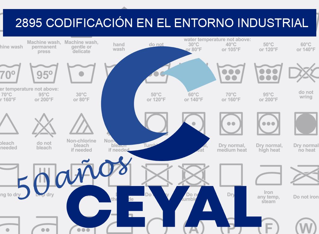 2895 CODIFICACIÓN EN EL ENTORNO INDUSTRIAL