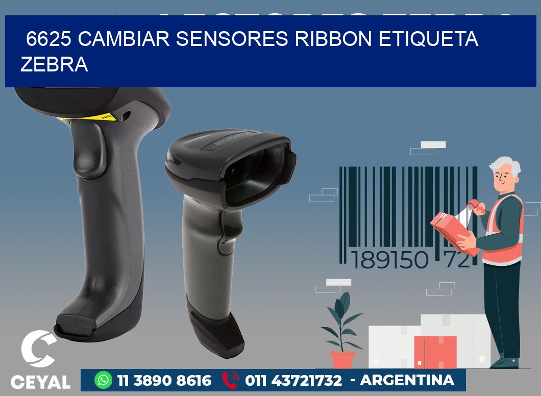 6625 CAMBIAR SENSORES RIBBON ETIQUETA ZEBRA