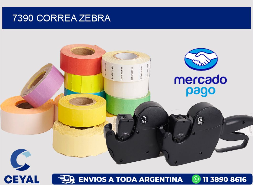 7390 CORREA ZEBRA