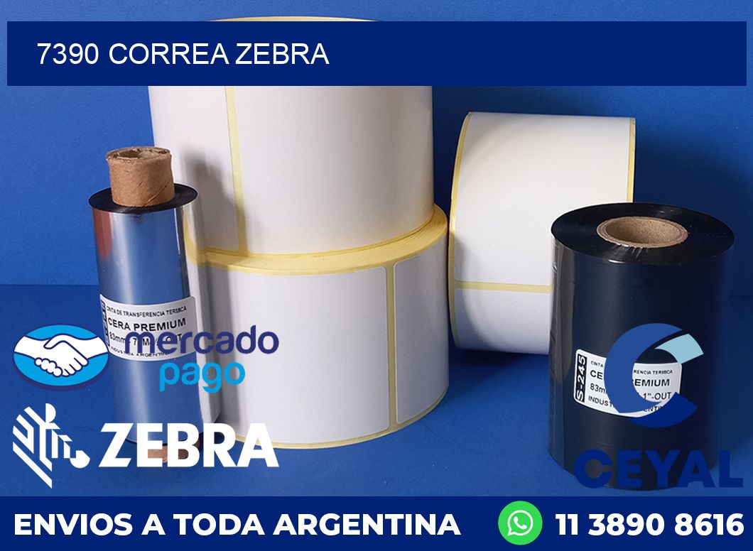 7390 CORREA ZEBRA