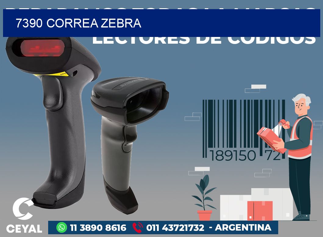 7390 CORREA ZEBRA