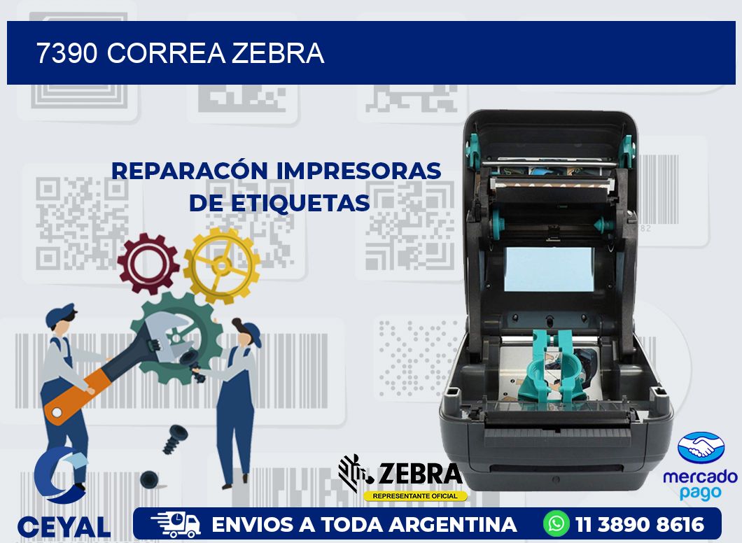 7390 CORREA ZEBRA