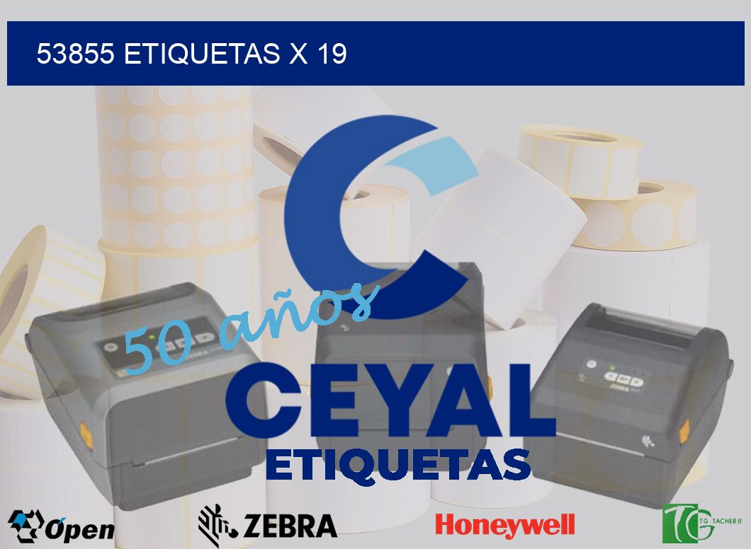 53855 Etiquetas x 19
