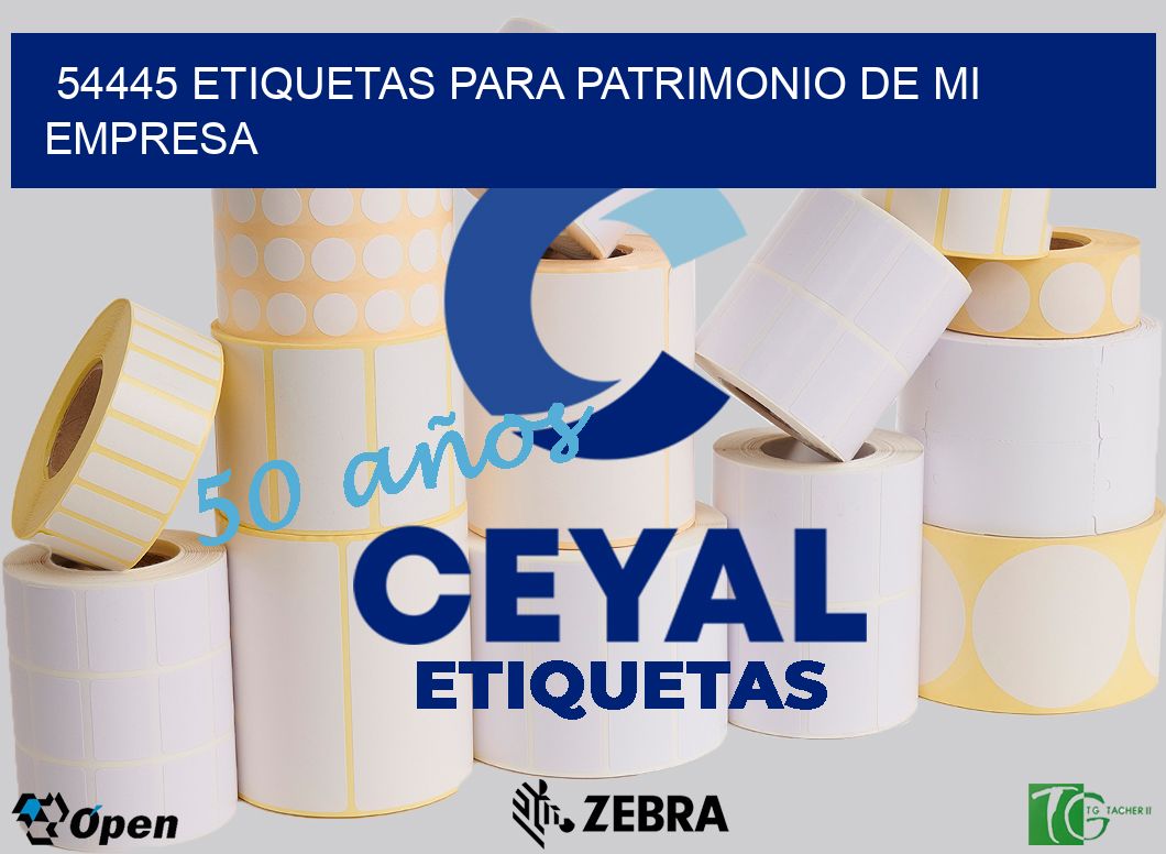 54445 ETIQUETAS PARA PATRIMONIO DE MI EMPRESA
