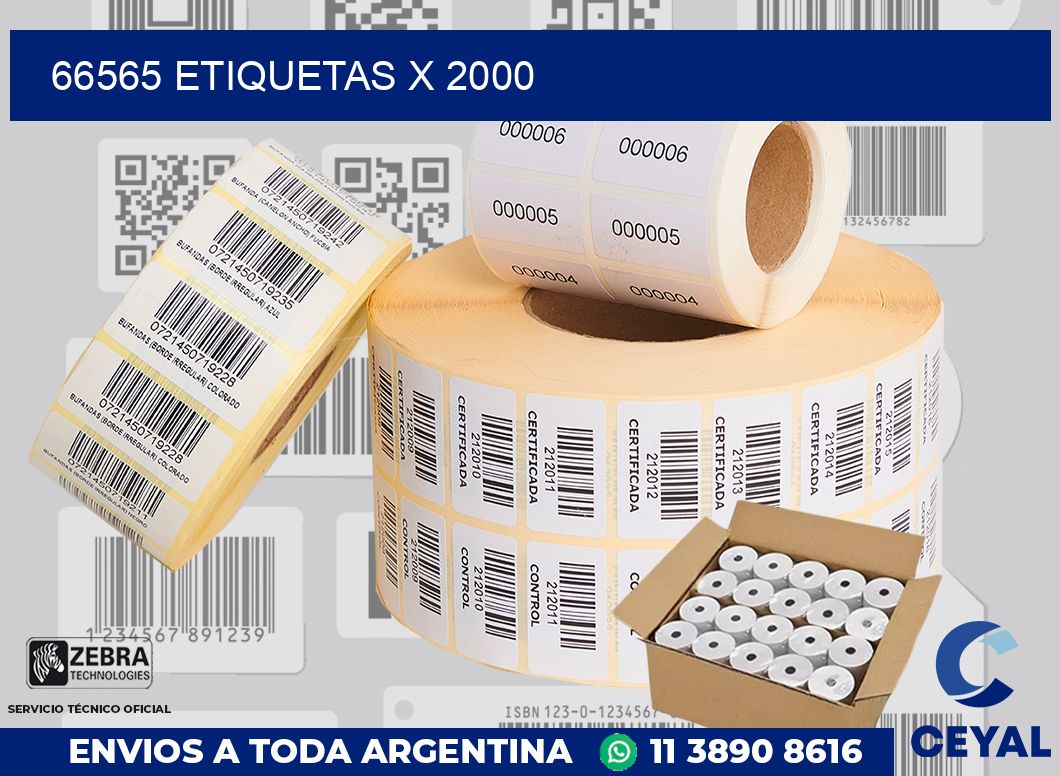 66565 Etiquetas x 2000