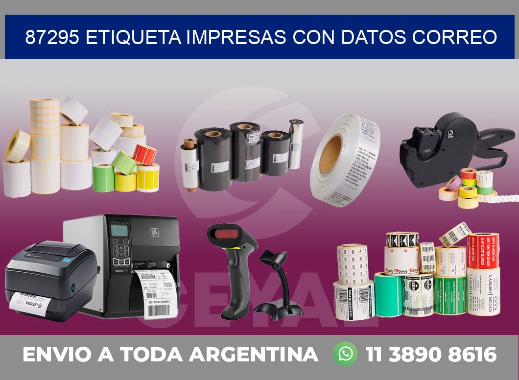 87295 ETIQUETA IMPRESAS CON DATOS CORREO