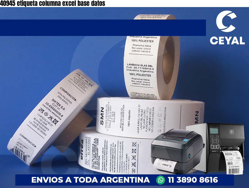 40945 etiqueta columna excel base datos