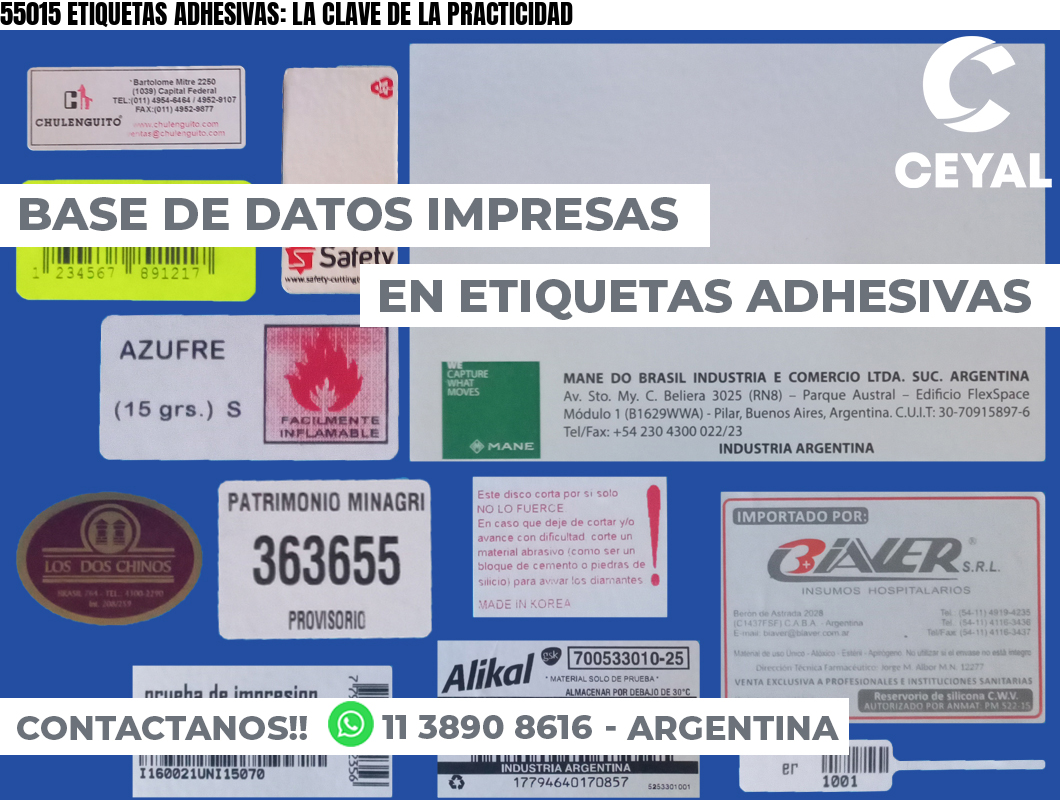 55015 ETIQUETAS ADHESIVAS: LA CLAVE DE LA PRACTICIDAD