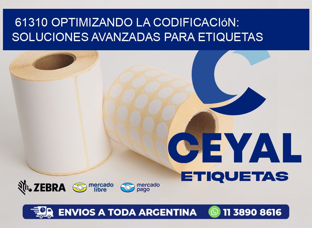 61310 Optimizando la Codificación: Soluciones Avanzadas para Etiquetas