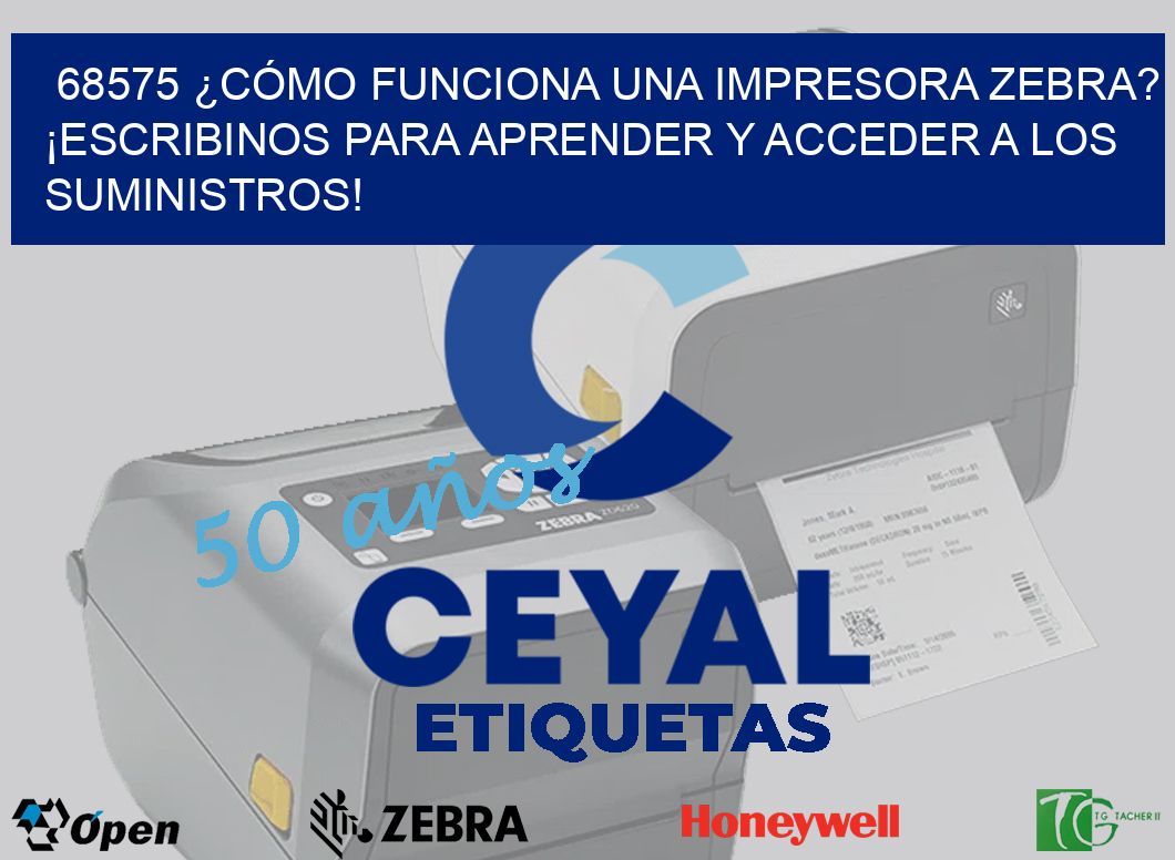 68575 ¿CÓMO FUNCIONA UNA IMPRESORA ZEBRA? ¡ESCRIBINOS PARA APRENDER Y ACCEDER A LOS SUMINISTROS!