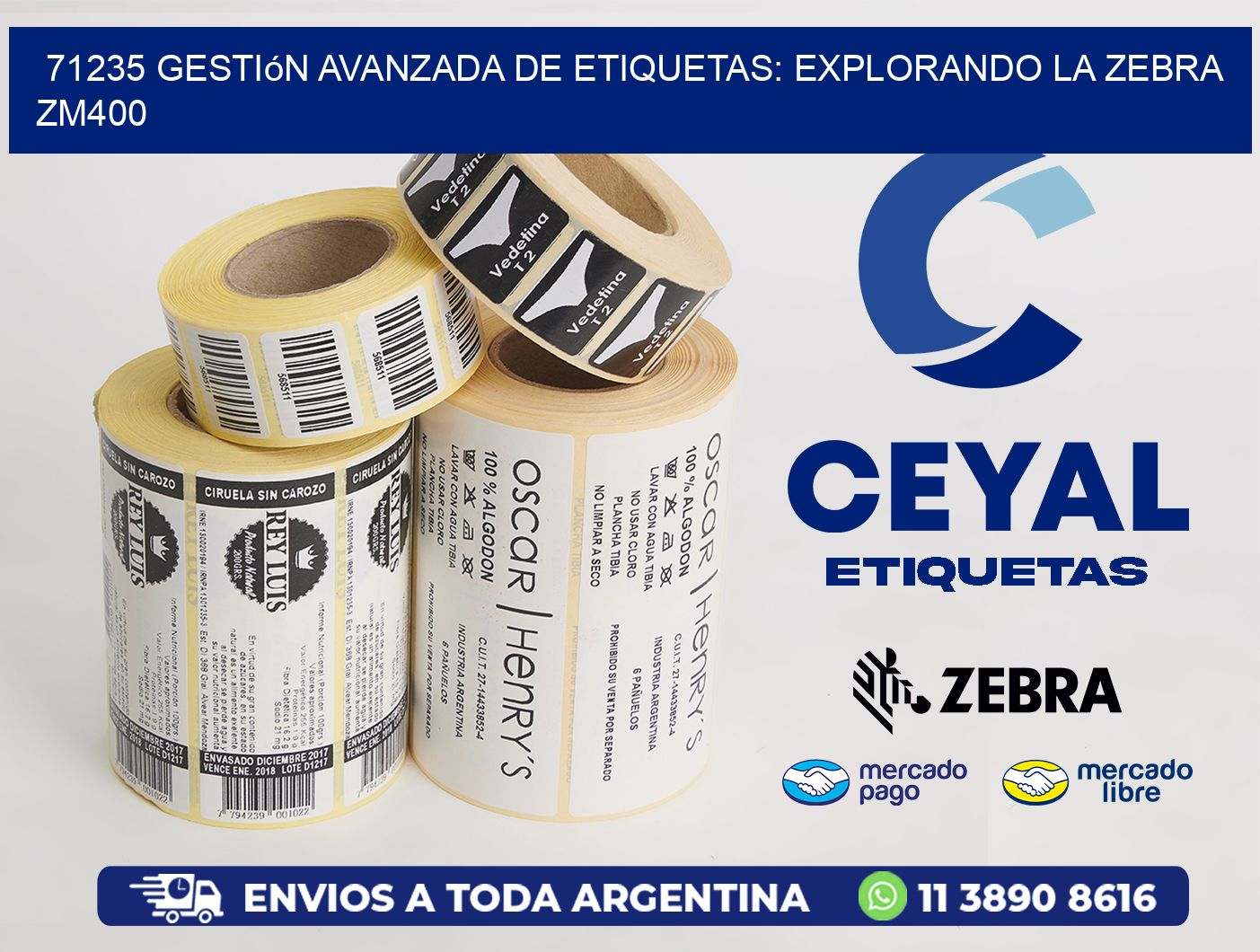 71235 Gestión Avanzada de Etiquetas: Explorando la Zebra ZM400