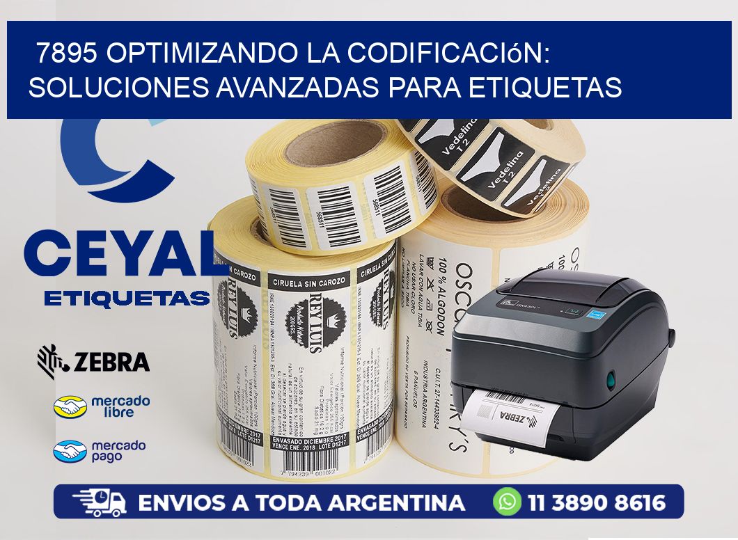 7895 Optimizando la Codificación: Soluciones Avanzadas para Etiquetas