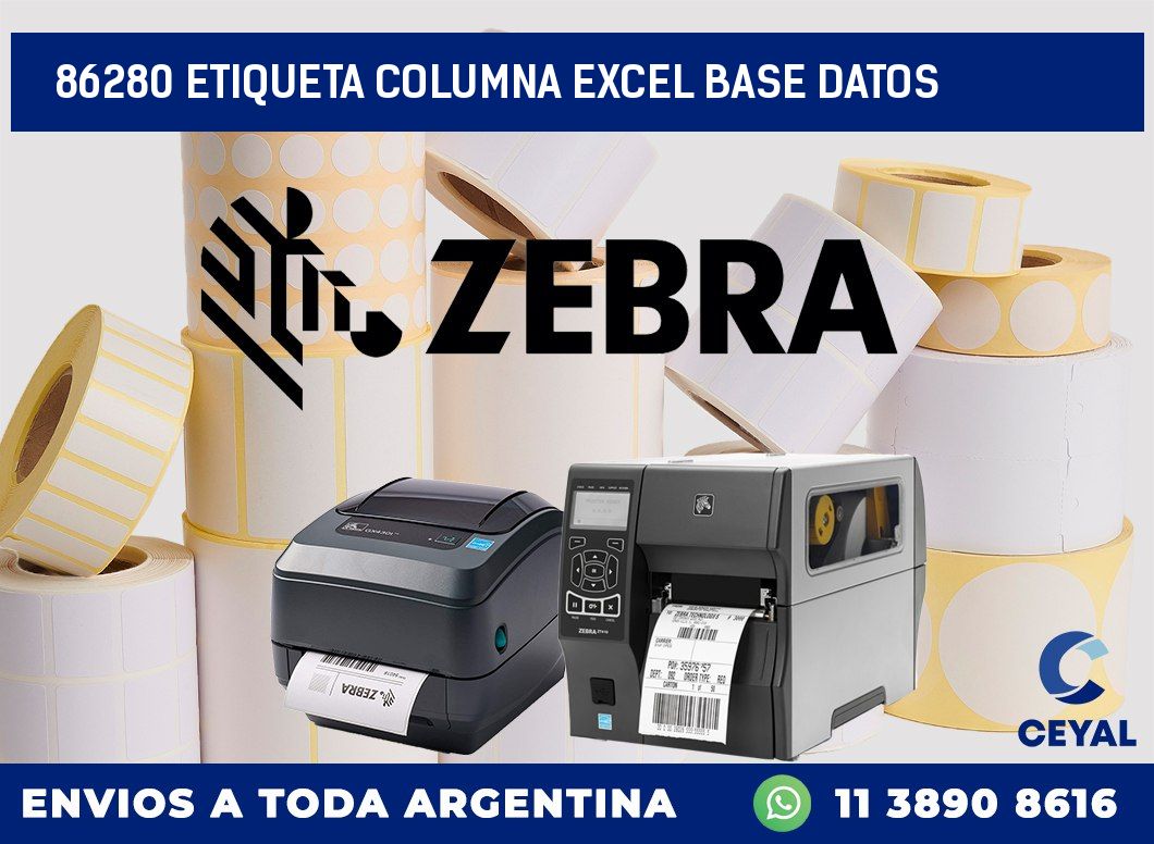 86280 etiqueta columna excel base datos