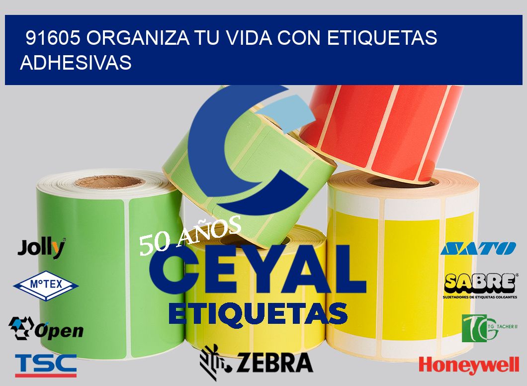 91605 ORGANIZA TU VIDA CON ETIQUETAS ADHESIVAS