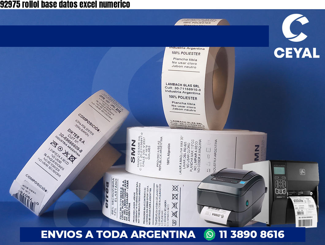 92975 rollol base datos excel numerico