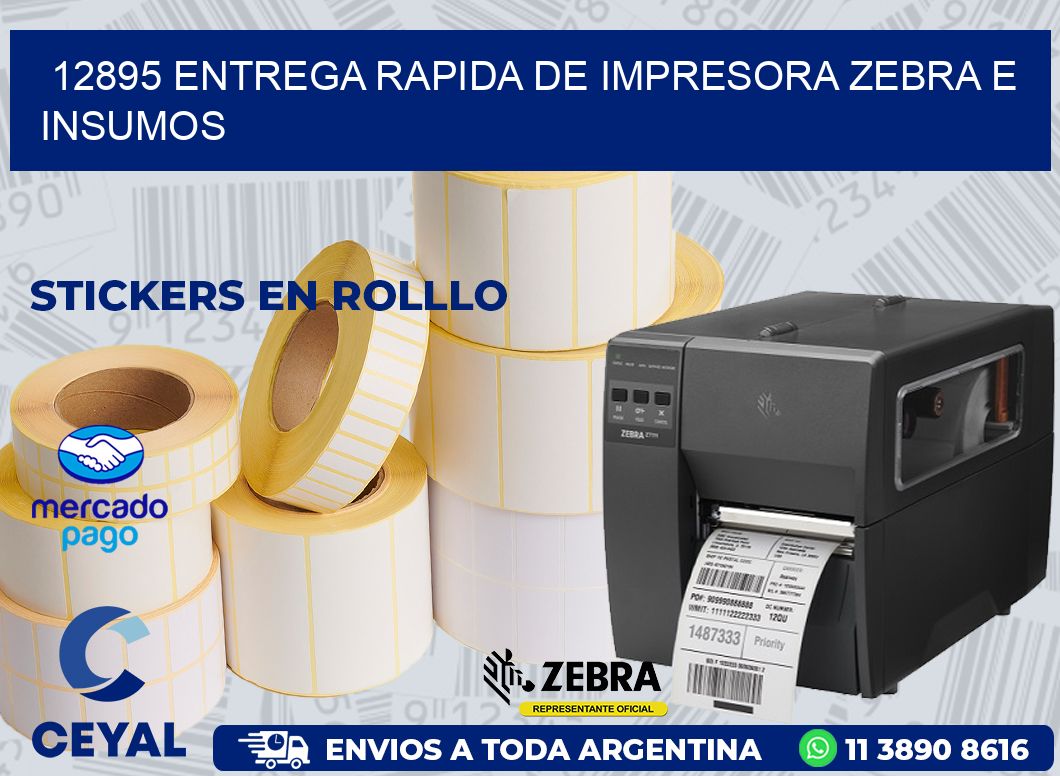 12895 ENTREGA RAPIDA DE IMPRESORA ZEBRA E INSUMOS