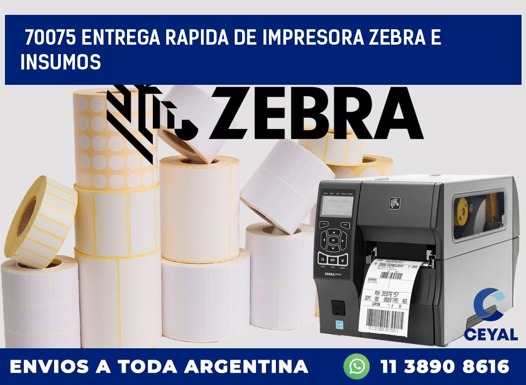 70075 ENTREGA RAPIDA DE IMPRESORA ZEBRA E INSUMOS