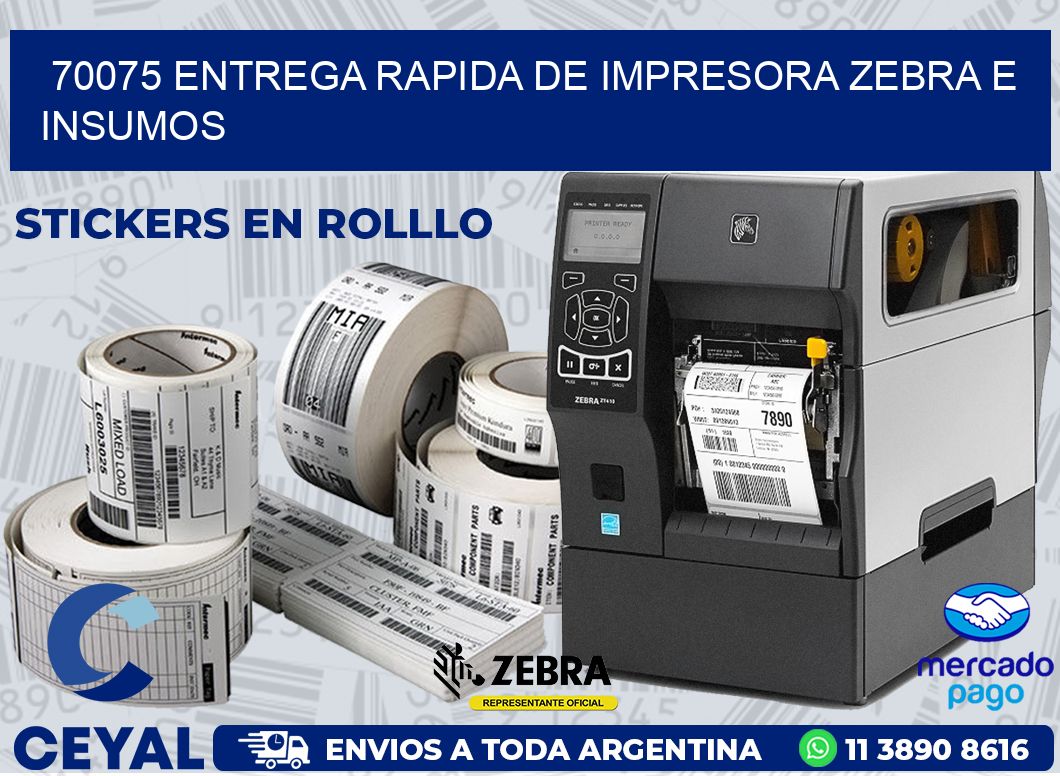 70075 ENTREGA RAPIDA DE IMPRESORA ZEBRA E INSUMOS