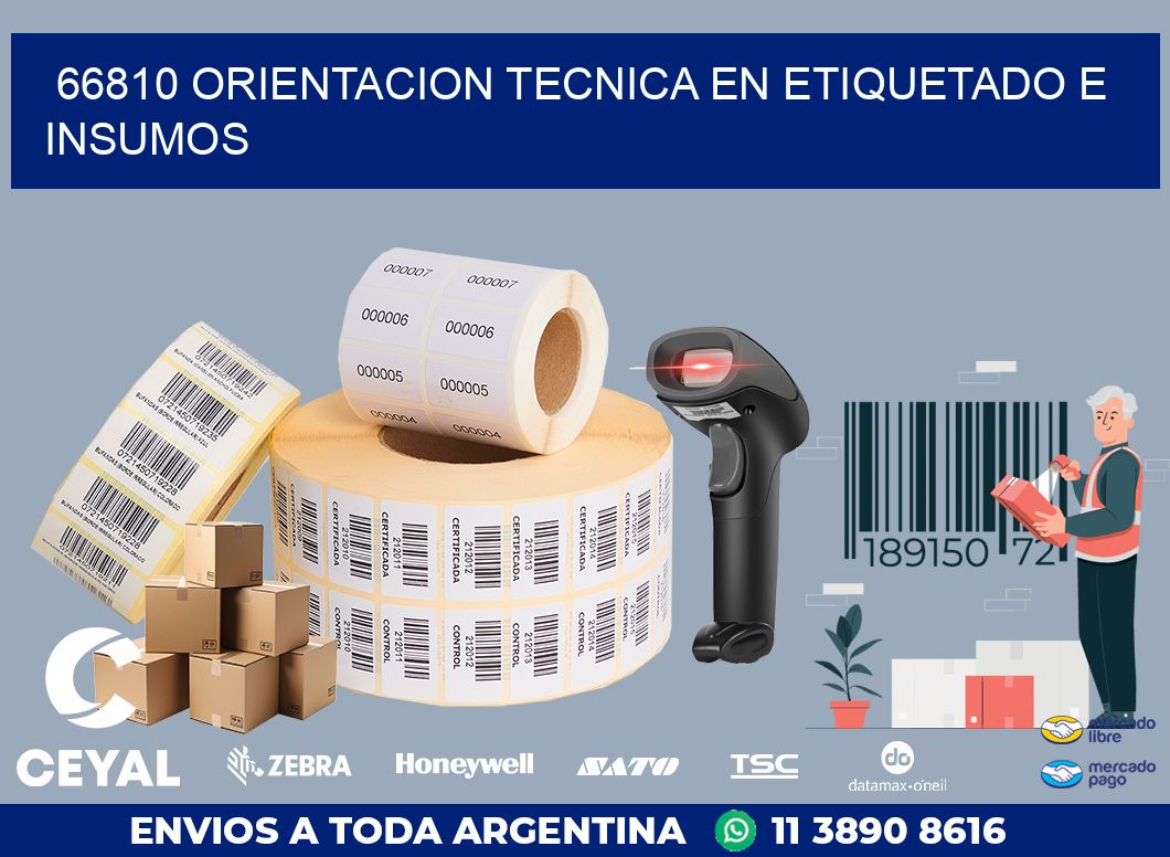 66810 ORIENTACION TECNICA EN ETIQUETADO E INSUMOS