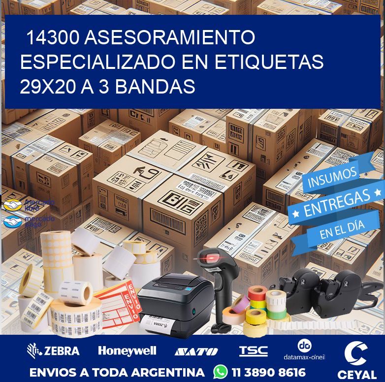 14300 ASESORAMIENTO ESPECIALIZADO EN ETIQUETAS 29X20 A 3 BANDAS