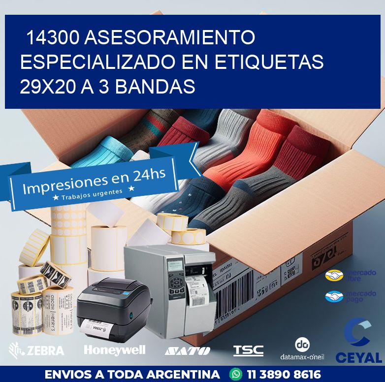 14300 ASESORAMIENTO ESPECIALIZADO EN ETIQUETAS 29X20 A 3 BANDAS