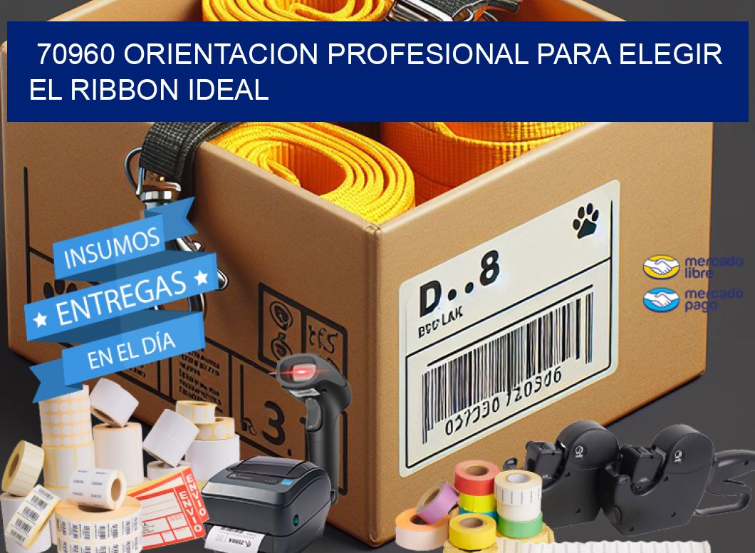70960 ORIENTACION PROFESIONAL PARA ELEGIR EL RIBBON IDEAL