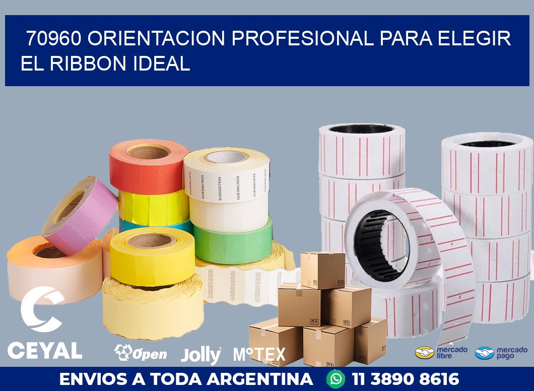 70960 ORIENTACION PROFESIONAL PARA ELEGIR EL RIBBON IDEAL
