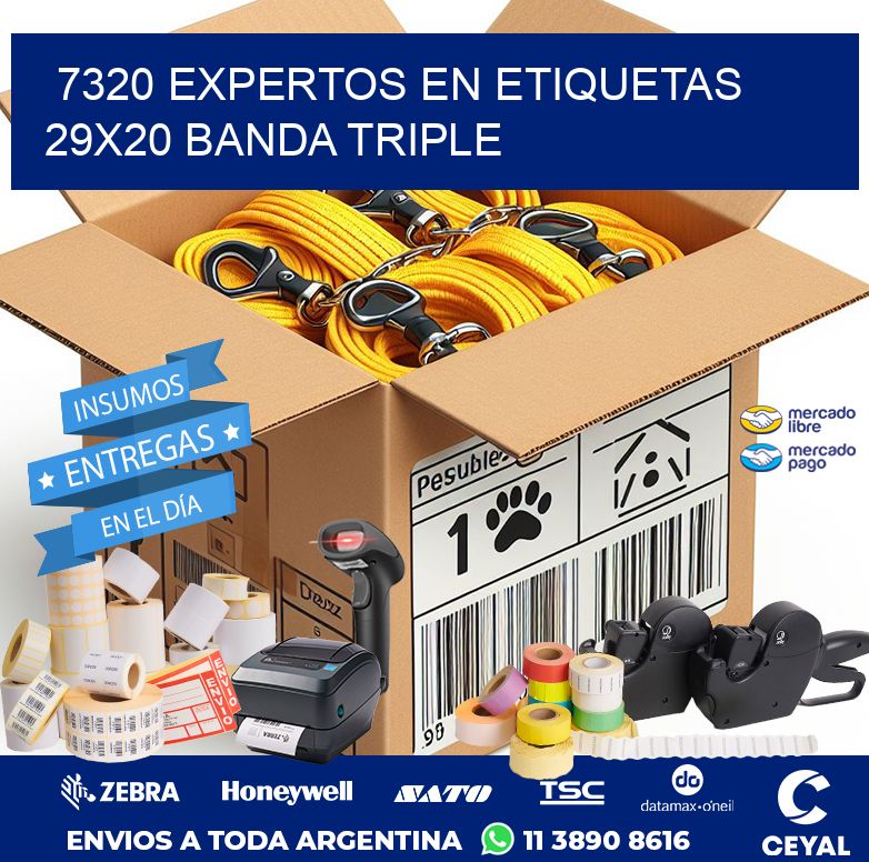 7320 EXPERTOS EN ETIQUETAS 29X20 BANDA TRIPLE