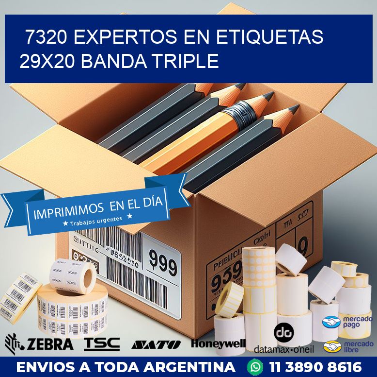 7320 EXPERTOS EN ETIQUETAS 29X20 BANDA TRIPLE