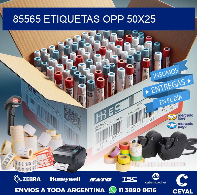 85565 ETIQUETAS OPP 50X25