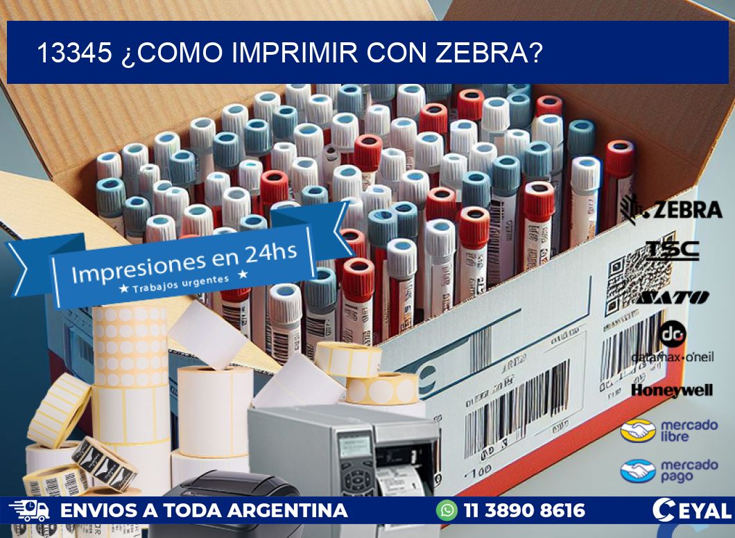 13345 ¿COMO IMPRIMIR CON ZEBRA?