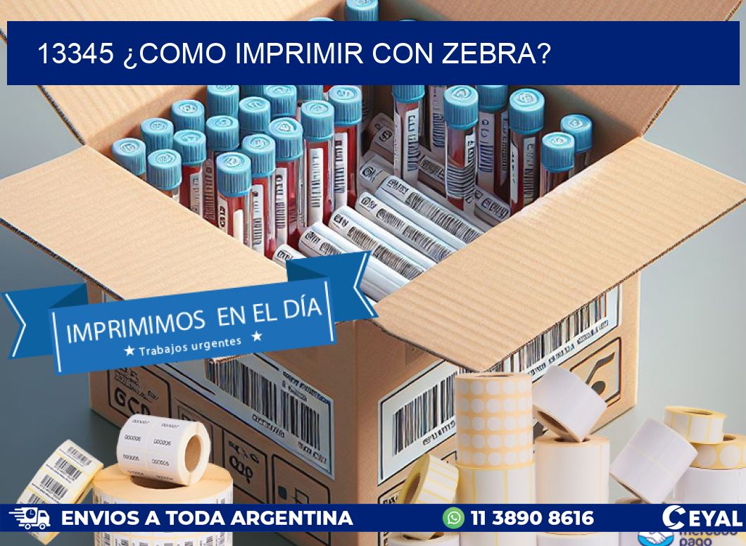 13345 ¿COMO IMPRIMIR CON ZEBRA?