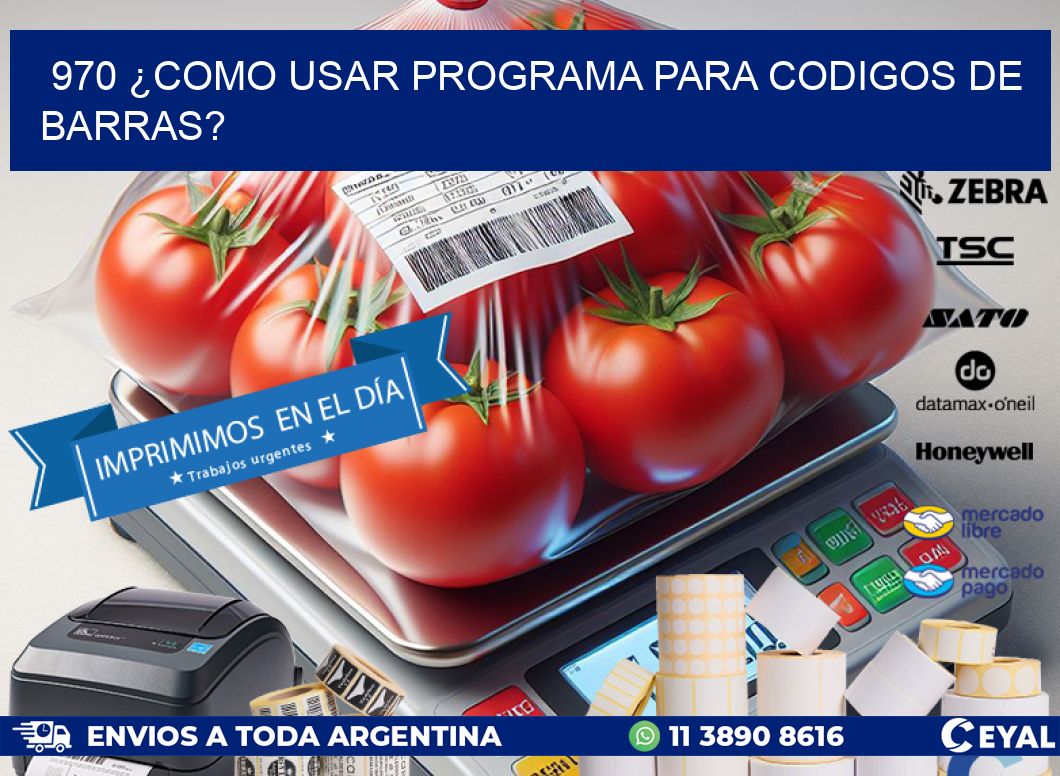 970 ¿COMO USAR PROGRAMA PARA CODIGOS DE BARRAS?