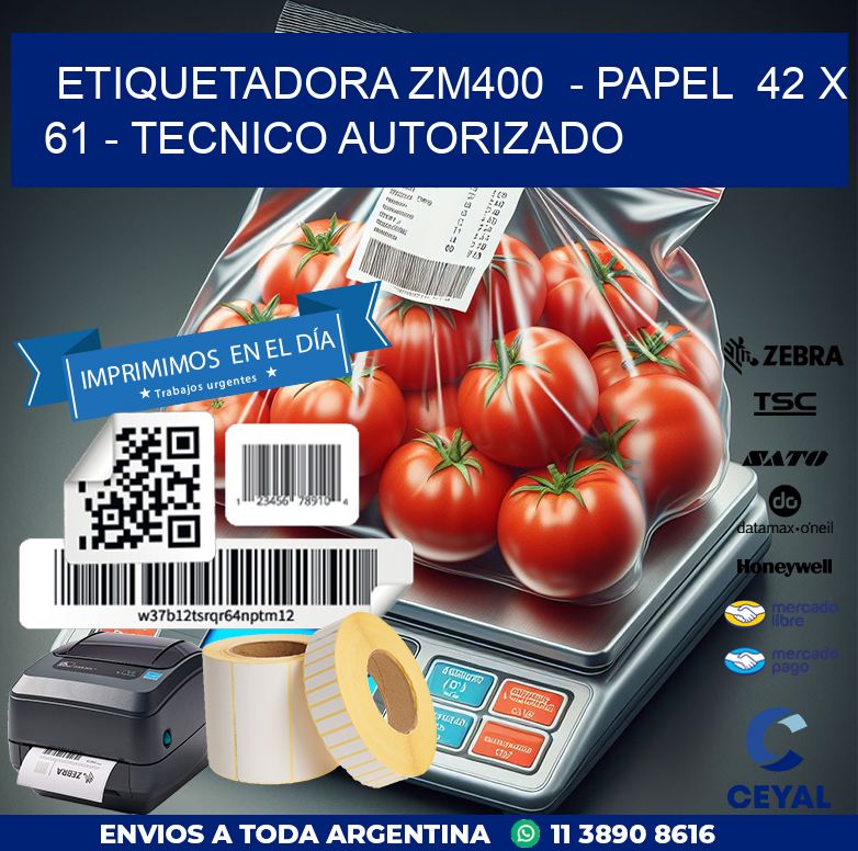 ETIQUETADORA ZM400  – PAPEL  42 x 61 – TECNICO AUTORIZADO