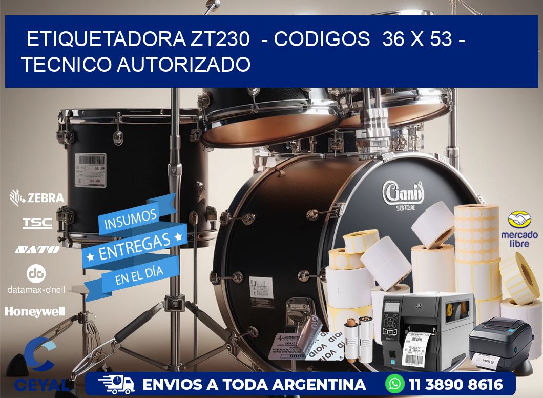 ETIQUETADORA ZT230 - CODIGOS 36 x 53 - TECNICO AUTORIZADO