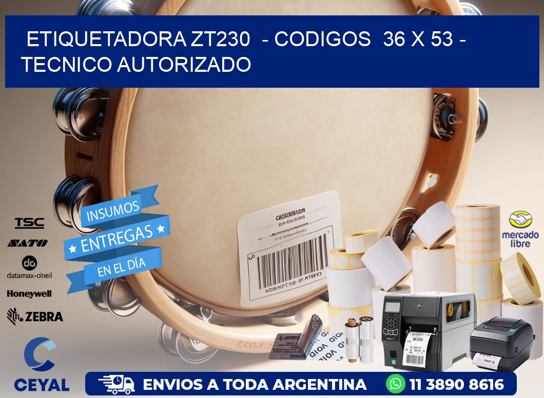 ETIQUETADORA ZT230 - CODIGOS 36 x 53 - TECNICO AUTORIZADO