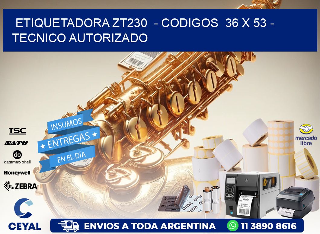 ETIQUETADORA ZT230  – CODIGOS  36 x 53 – TECNICO AUTORIZADO