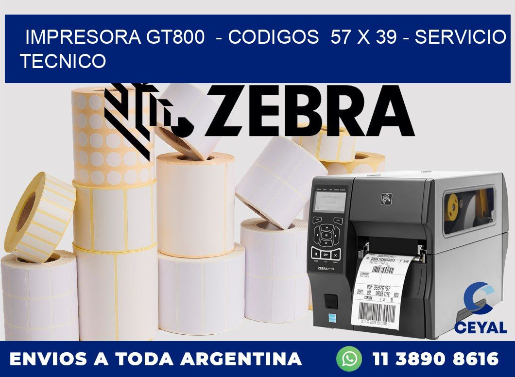 IMPRESORA GT800 - CODIGOS 57 x 39 - SERVICIO TECNICO