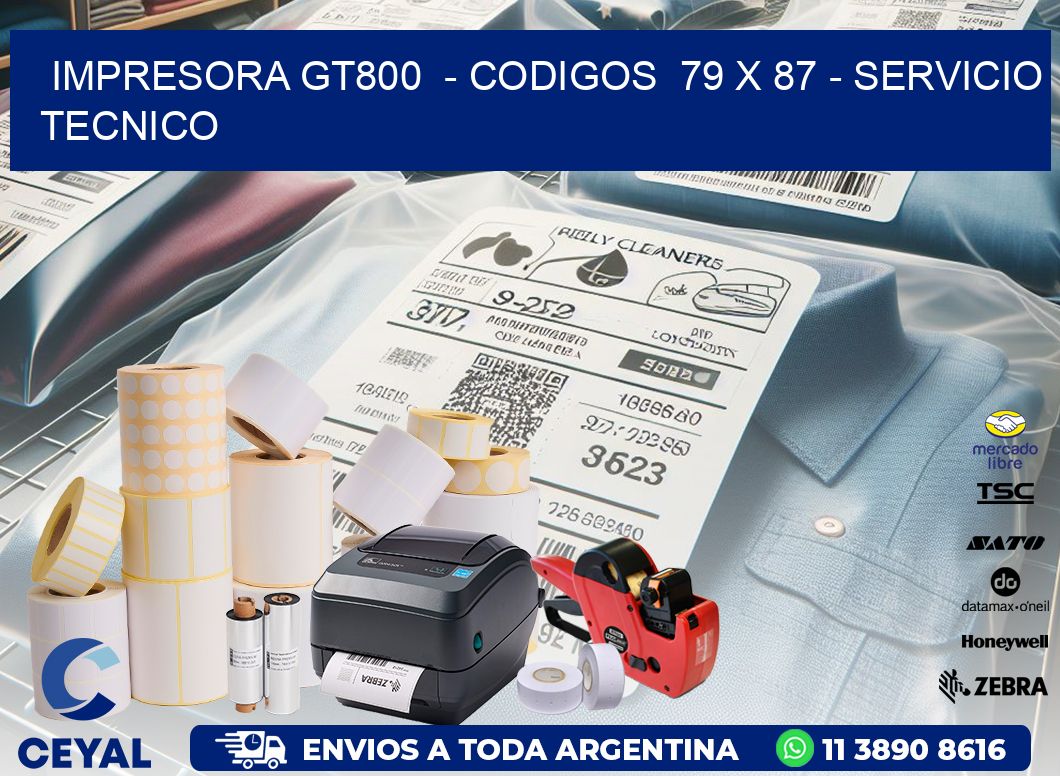 IMPRESORA GT800 - CODIGOS 79 x 87 - SERVICIO TECNICO
