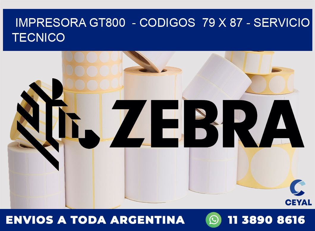 IMPRESORA GT800 - CODIGOS 79 x 87 - SERVICIO TECNICO