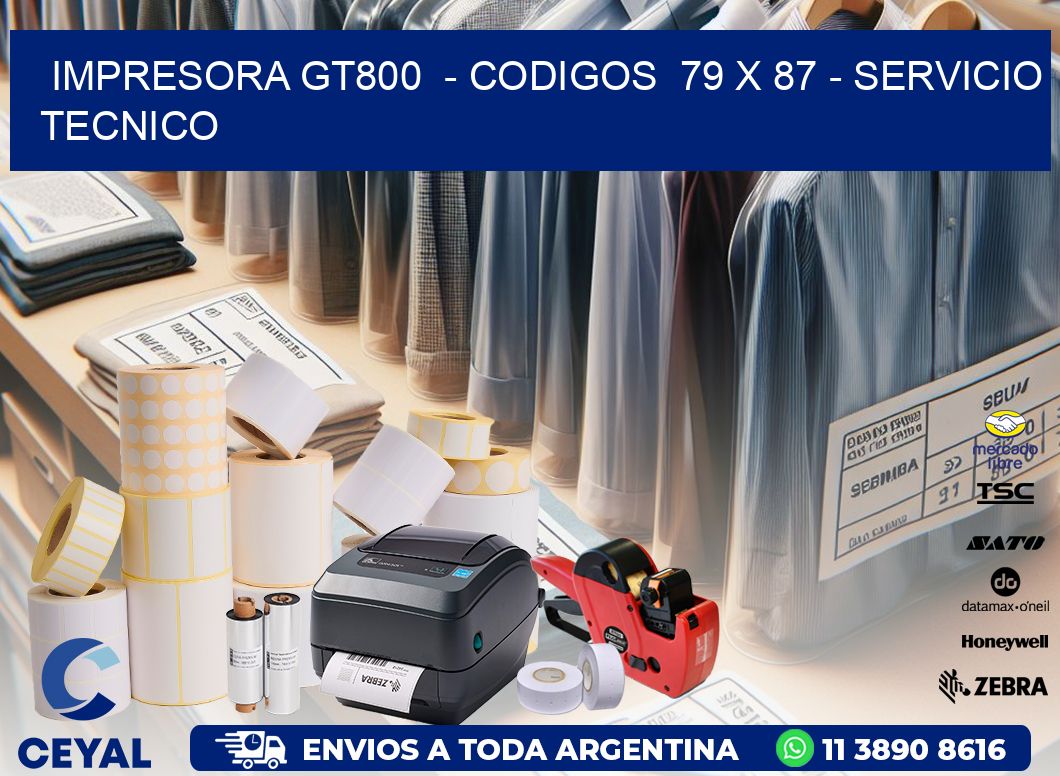 IMPRESORA GT800  – CODIGOS  79 x 87 – SERVICIO TECNICO
