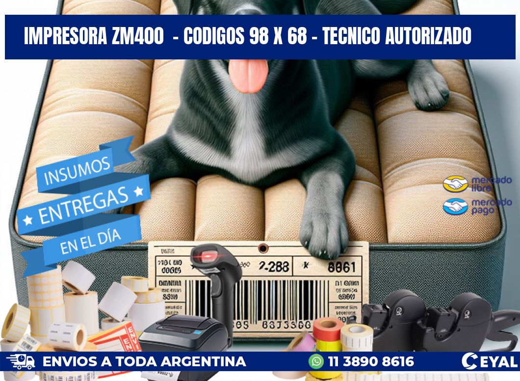 IMPRESORA ZM400  - CODIGOS 98 x 68 - TECNICO AUTORIZADO